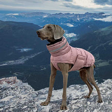 Load image into Gallery viewer, Puffa - Padded/Quilted Dog coat with Underbelly Protection