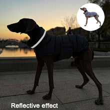 Load image into Gallery viewer, Puffa - Padded/Quilted Dog coat with Underbelly Protection