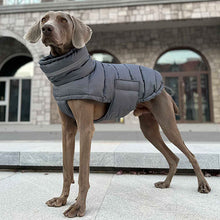 Load image into Gallery viewer, Puffa - Padded/Quilted Dog coat with Underbelly Protection