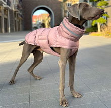 Load image into Gallery viewer, Puffa - Padded/Quilted Dog coat with Underbelly Protection