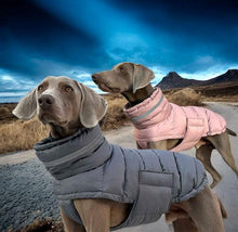 Load image into Gallery viewer, Puffa - Padded/Quilted Dog coat with Underbelly Protection