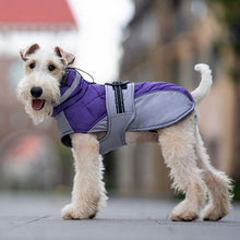 Load image into Gallery viewer, purple dog coat with leg straps