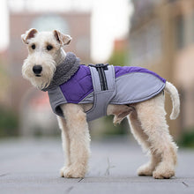 Load image into Gallery viewer, purple dog jacket with fleece collar