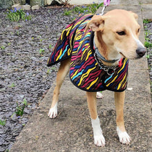 Load image into Gallery viewer, savanna dog coat