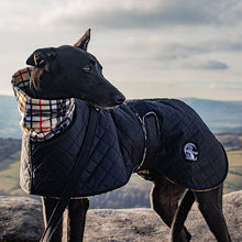 Load image into Gallery viewer, drydogs dog coats for sighthounds