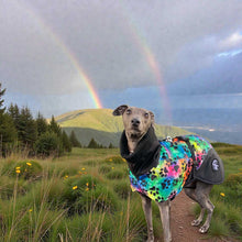 Load image into Gallery viewer, greyhound and whippet coats for winter - rainbow paw design