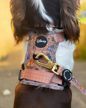 Load image into Gallery viewer, Disney Dogs Collection: Harnesses / Collars / Leads