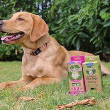 Load image into Gallery viewer, recycled degradable dog poop bags with handles