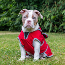 Load image into Gallery viewer, softshell waterproof dog jacket