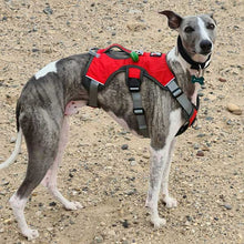Load image into Gallery viewer, Escape Proof Greyhound & Whippet Harness – 3 Strap