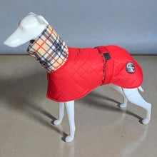 Load image into Gallery viewer, red oslo greyhound whippet coat