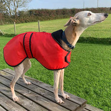 Load image into Gallery viewer, drydogs vetra sighthound coat red
