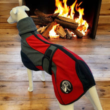 Load image into Gallery viewer, Fleece greyhound coat with snood