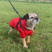 Load image into Gallery viewer, dry dogs red waterproof summer dog coat with harness