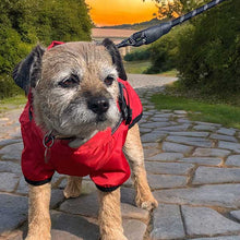 Load image into Gallery viewer, red summer dog coat with built in harness
