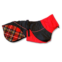 Load image into Gallery viewer, Felton - Sighthound Coat with Underbelly and Harness Hole