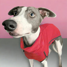 Load image into Gallery viewer, Fleece Sighthound Base-Layer Coat with Underbelly and Snood