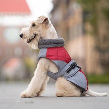 Load image into Gallery viewer, winter dog coat with hanness hole