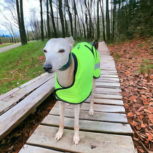 Load image into Gallery viewer, best fitting coats for whippets