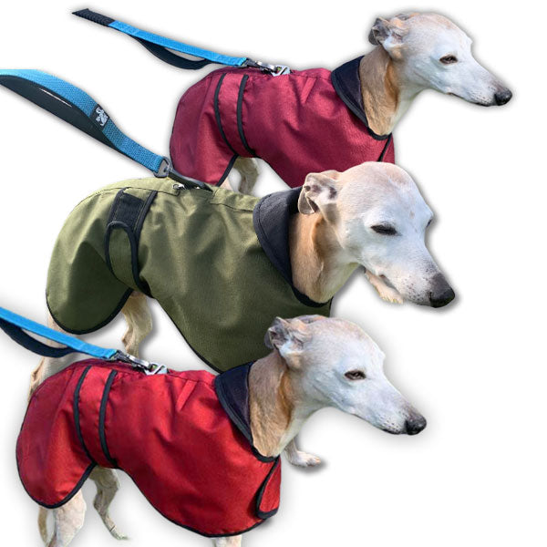best whippet coat with harness hole uk