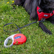 Load image into Gallery viewer, Viva Collars / Harnesses / Leads Collection