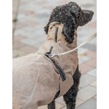 Load image into Gallery viewer, Dog wearing a beige raincoat on a leash with a blurred background