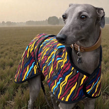 Load image into Gallery viewer, Dog wearing a colorful patterned coat standing in a field