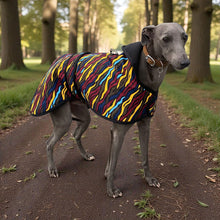 Load image into Gallery viewer, whippet wearing a colorful coat walking on a path in a park