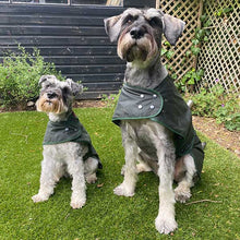 Load image into Gallery viewer, large and small schnauzer coats
