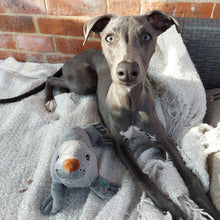 Load image into Gallery viewer, Plush Animal Toys with Squeak