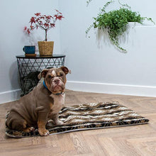 Load image into Gallery viewer, self heating dog mattress aztec