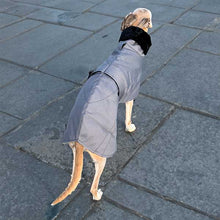 Load image into Gallery viewer, ofira winter sighthound coat