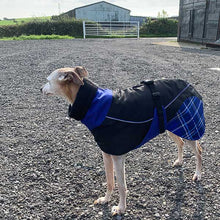 Load image into Gallery viewer, Felton - Sighthound Coat with Underbelly and Harness Hole
