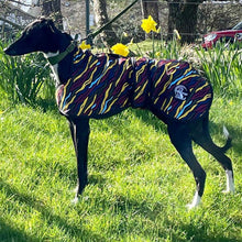 Load image into Gallery viewer, savanna dog coat on skye