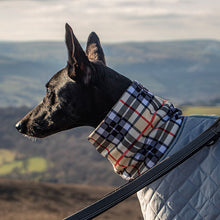 Load image into Gallery viewer, winter lurcher coat with snood and harness hole zip