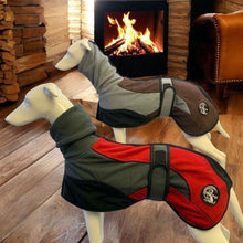 Load image into Gallery viewer, Fleece whippet coat with snood collar