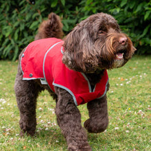 Load image into Gallery viewer, red softshell summer rain mac for dogs