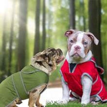 Load image into Gallery viewer, softshell summer dog coat with harness hole