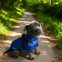 Load image into Gallery viewer, Verano - Lightweight Waterproof Dog Coat with Built in Harness
