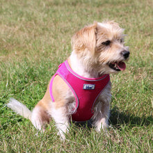 Load image into Gallery viewer, Viva Step-In Breathable Dog Harness