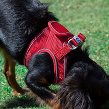 Load image into Gallery viewer, Viva Step-In Breathable Dog Harness