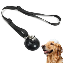Load image into Gallery viewer, dog bathing lead with suction cup