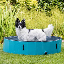 Load image into Gallery viewer, Dog Paddling pool
