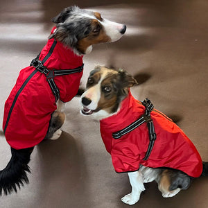 Verano - Lightweight Waterproof Dog Coat with Built in Harness