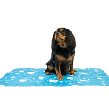 Load image into Gallery viewer, Dog sitting on a blue cooling pad with white patterns on a white background