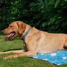 Load image into Gallery viewer, Dog lying on a blue mat with white patterns in a grassy area with green foliage.