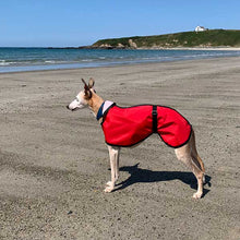 Load image into Gallery viewer, summer whippet coats