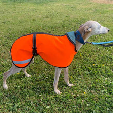 Load image into Gallery viewer, 21-24&#39;&#39;   Whippet Coat Hi-Vis yellow fleece lined (3489)
