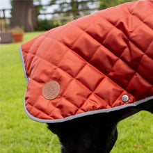 Load image into Gallery viewer, heritage range of dog coats from ancol