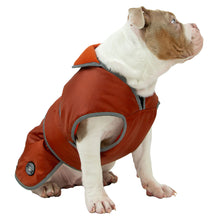 Load image into Gallery viewer, terracotta stormguard dog coat